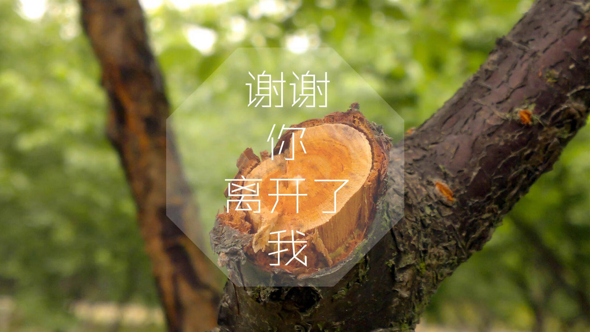 2025年电竞战队排名出炉，最强队伍是谁？，国内知名电竞战队