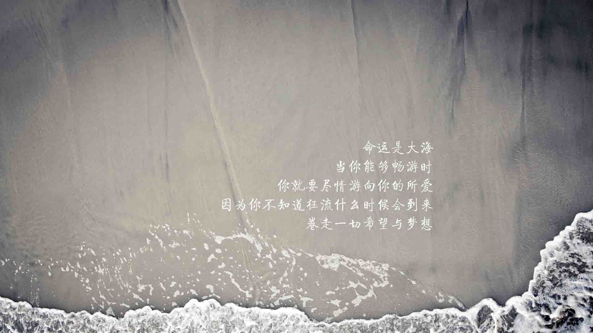 _春季花海：在花园中举行的浪漫赛事_，花海集锦