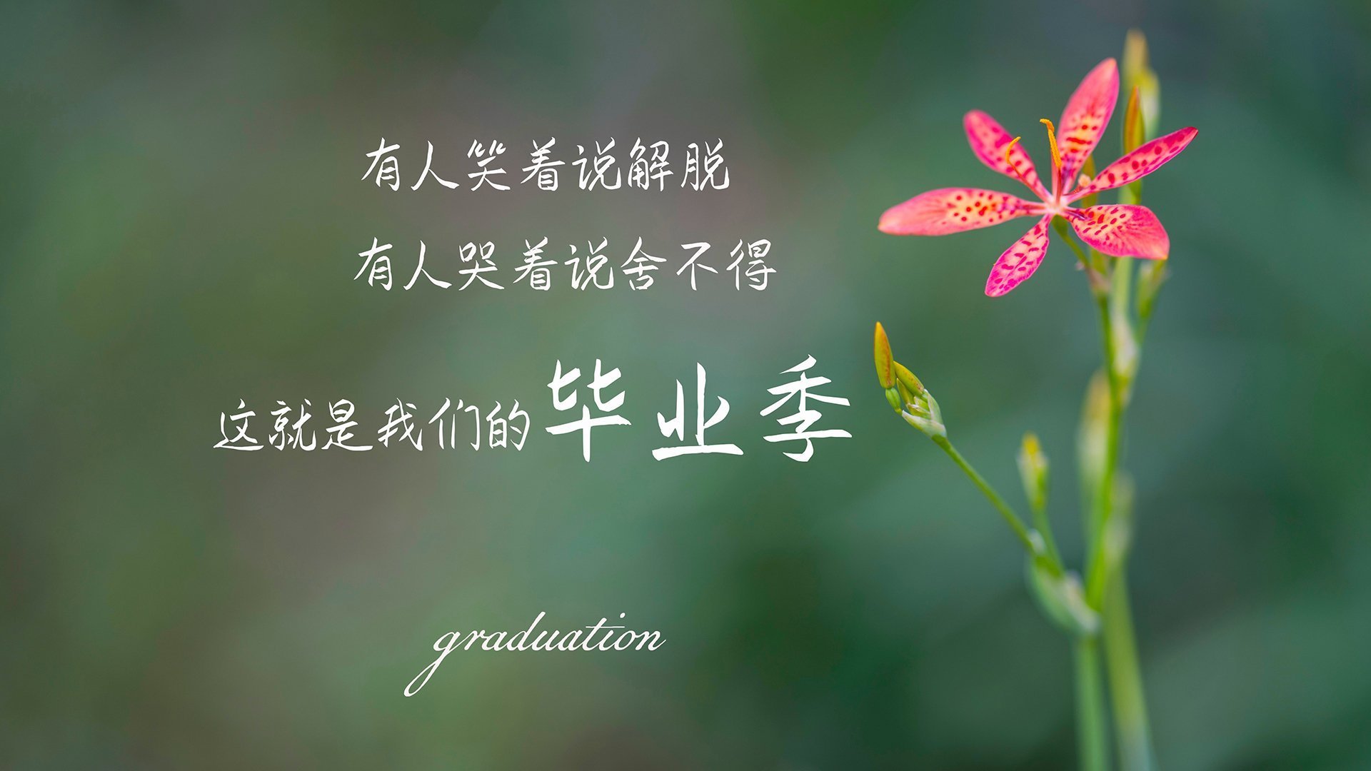 “青少年足球校园比赛覆盖面加大，普及全民体育”，2021年全国青少年校园足球比赛