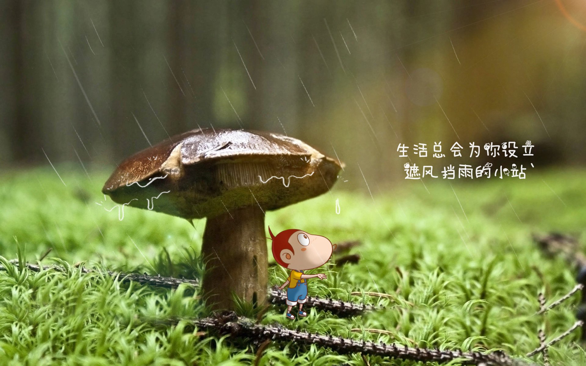 欧冠历史上的经典对决盘点，历届欧冠对决
