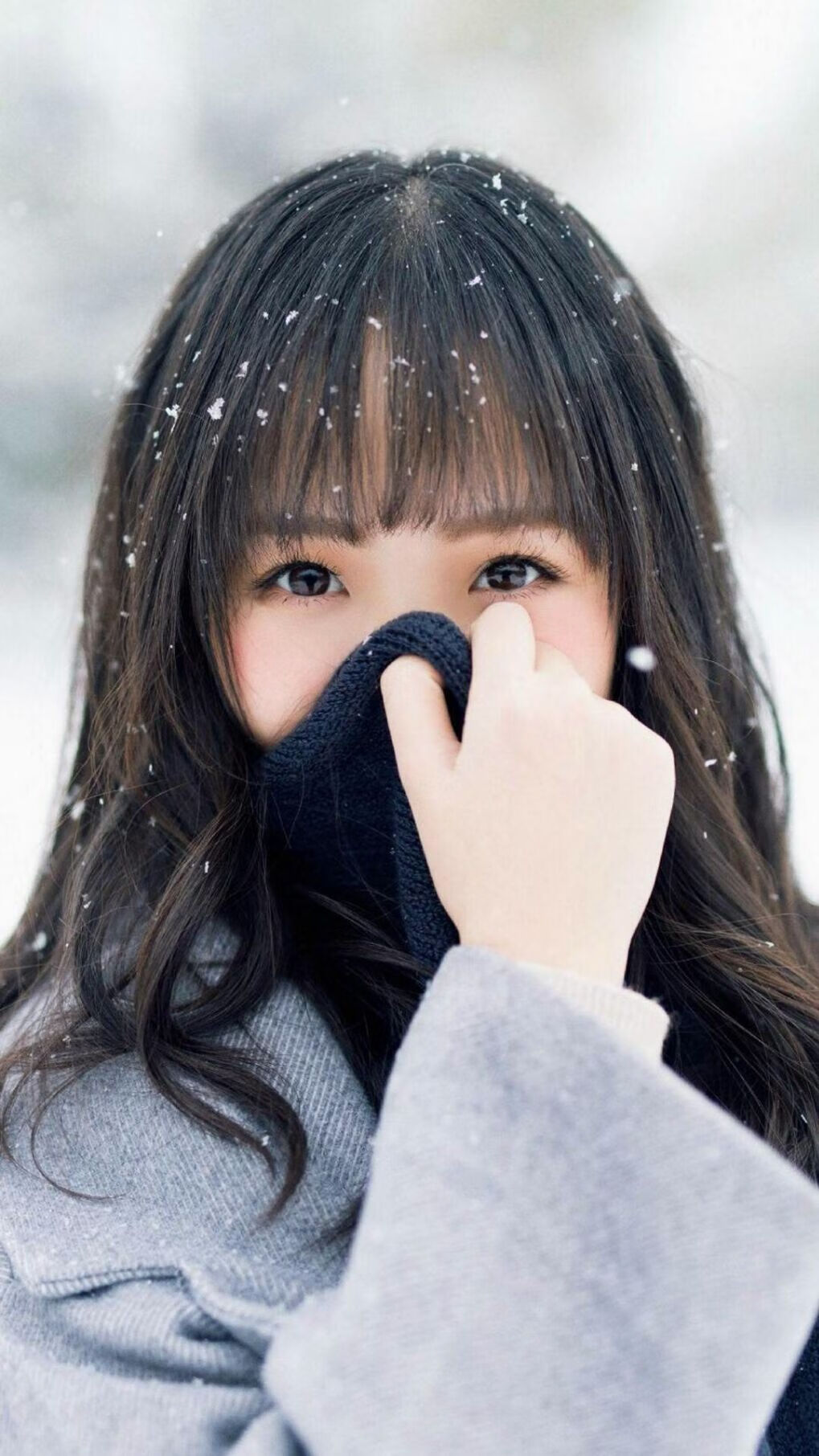 篮球青少年联赛积分排名系统升级，青少年篮球梯队