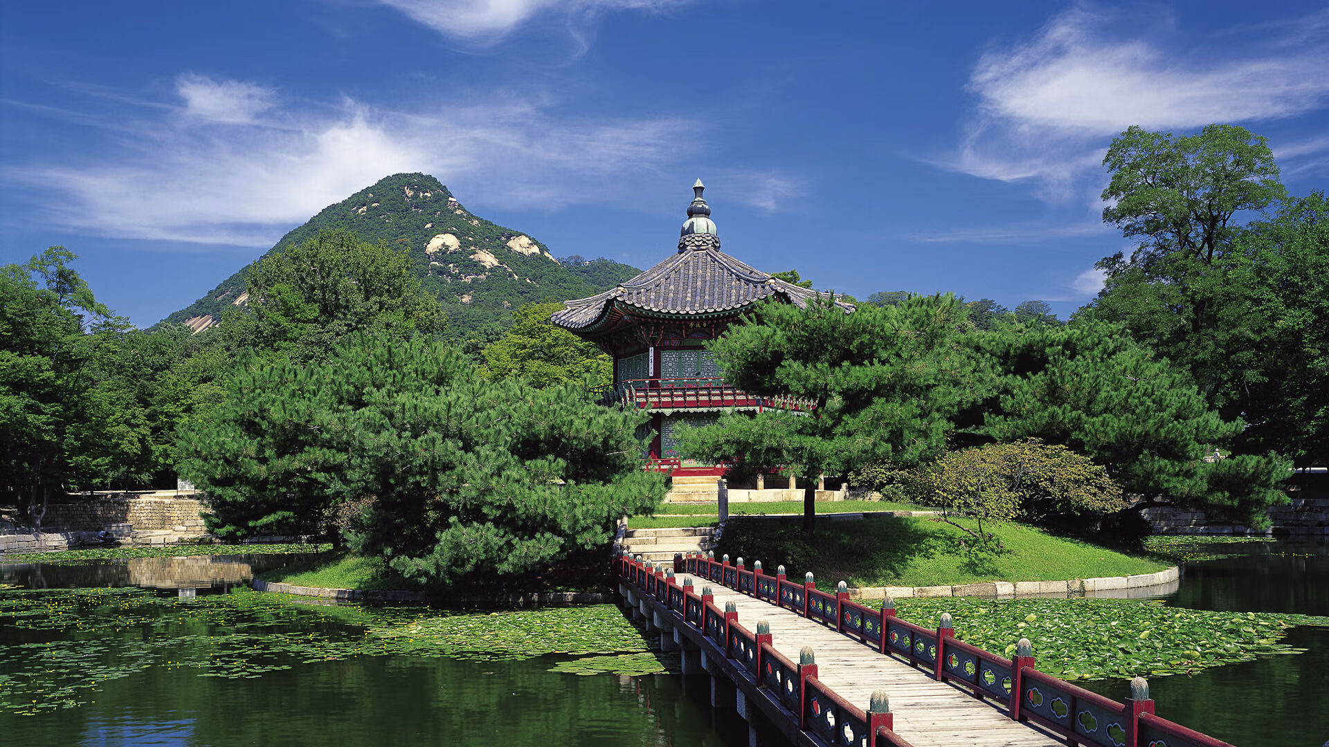 深圳马可波罗 教练战术布局引热议，深圳马可波罗教练是谁