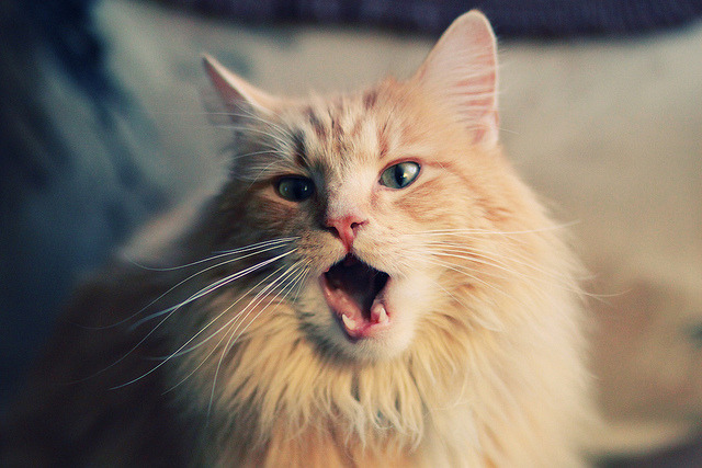 Kaiyun(中国)开云-赛场风暴！女足赛事风云，烽火再燃誓夺胜利，女足精彩比赛