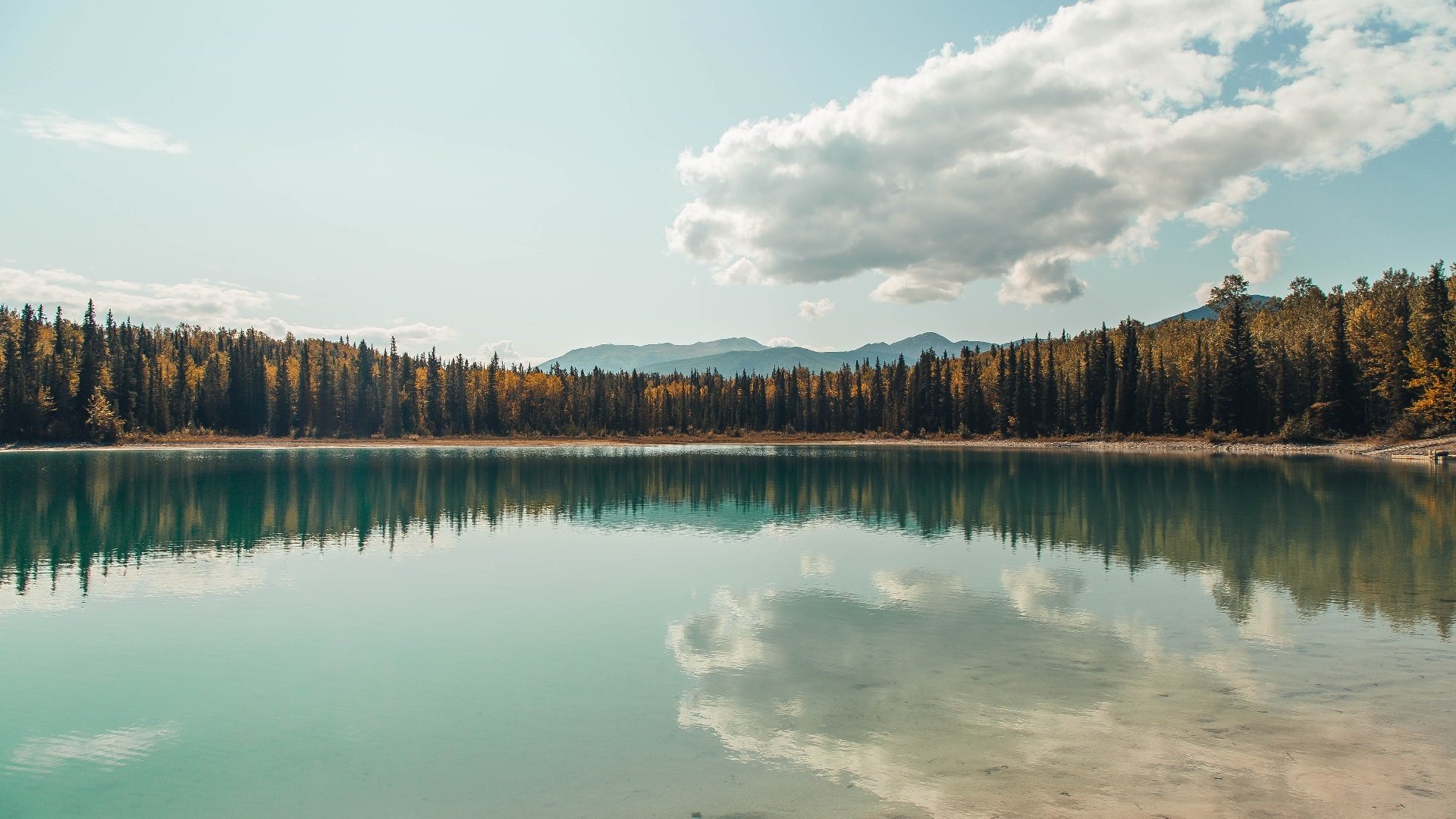 球员心理压力影响比赛表现，球员心态