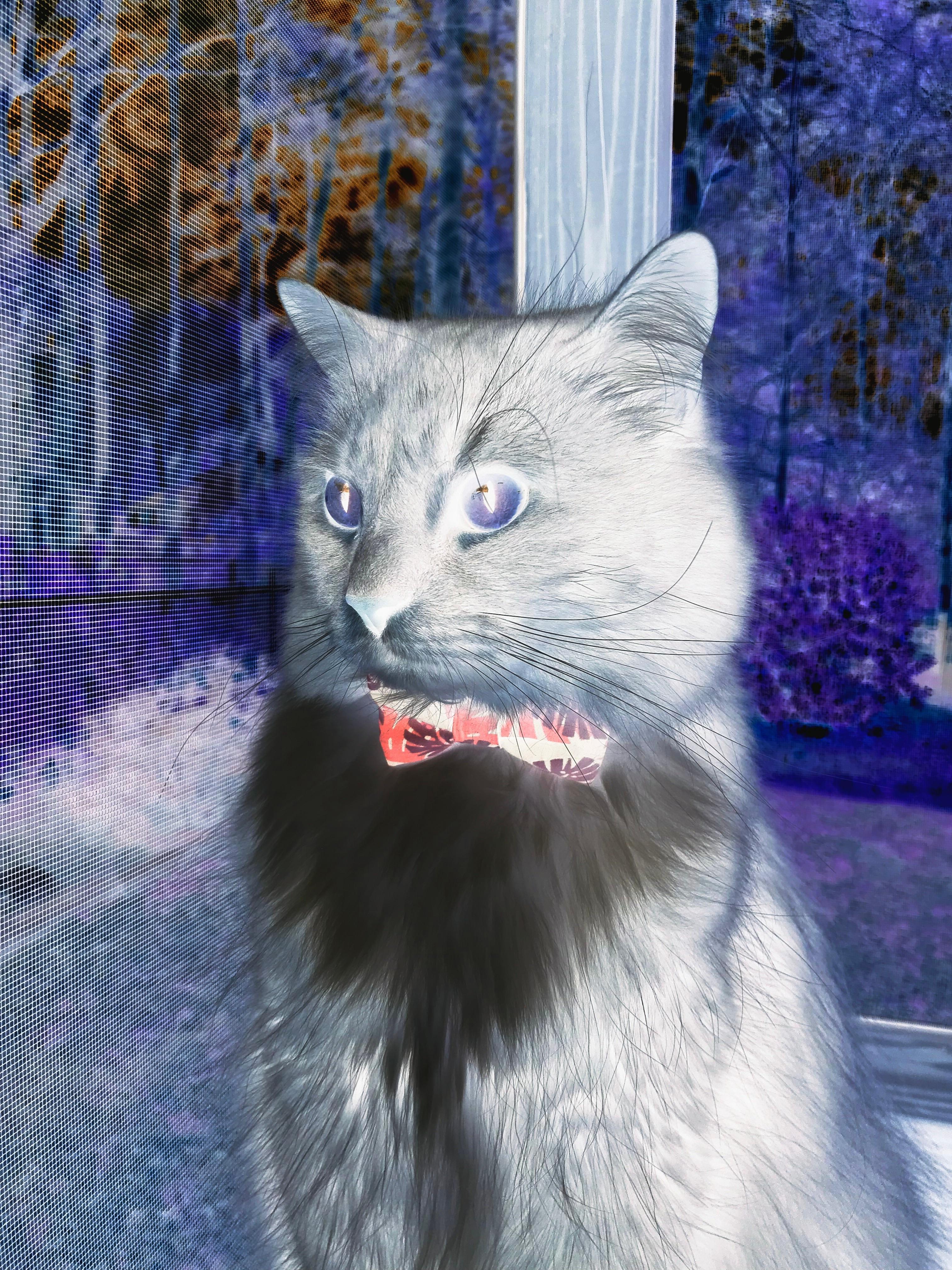 赛季初转会对战术融合与配合同步性的影响，新赛季转会消息