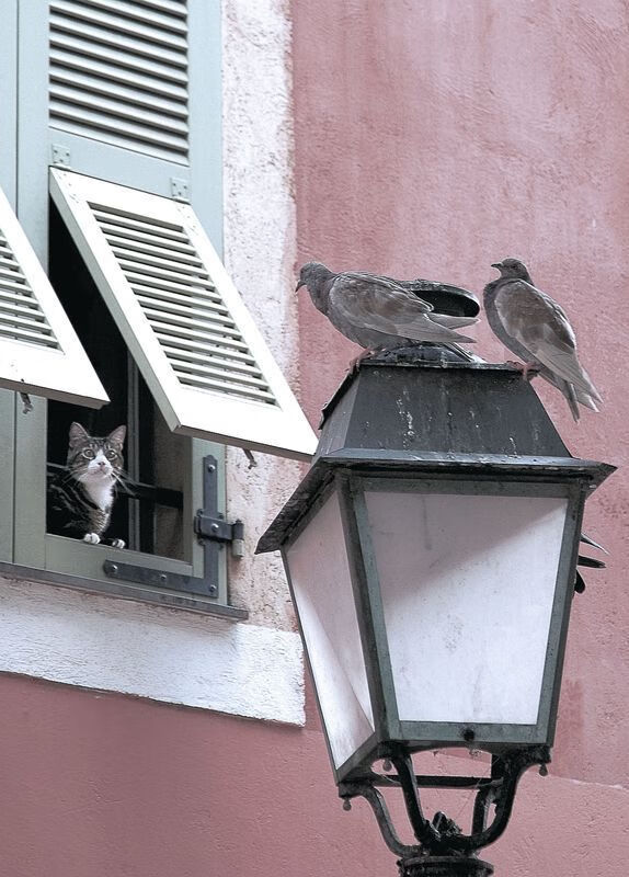 体育新闻中心备战细节大公开，体育新闻现场报道